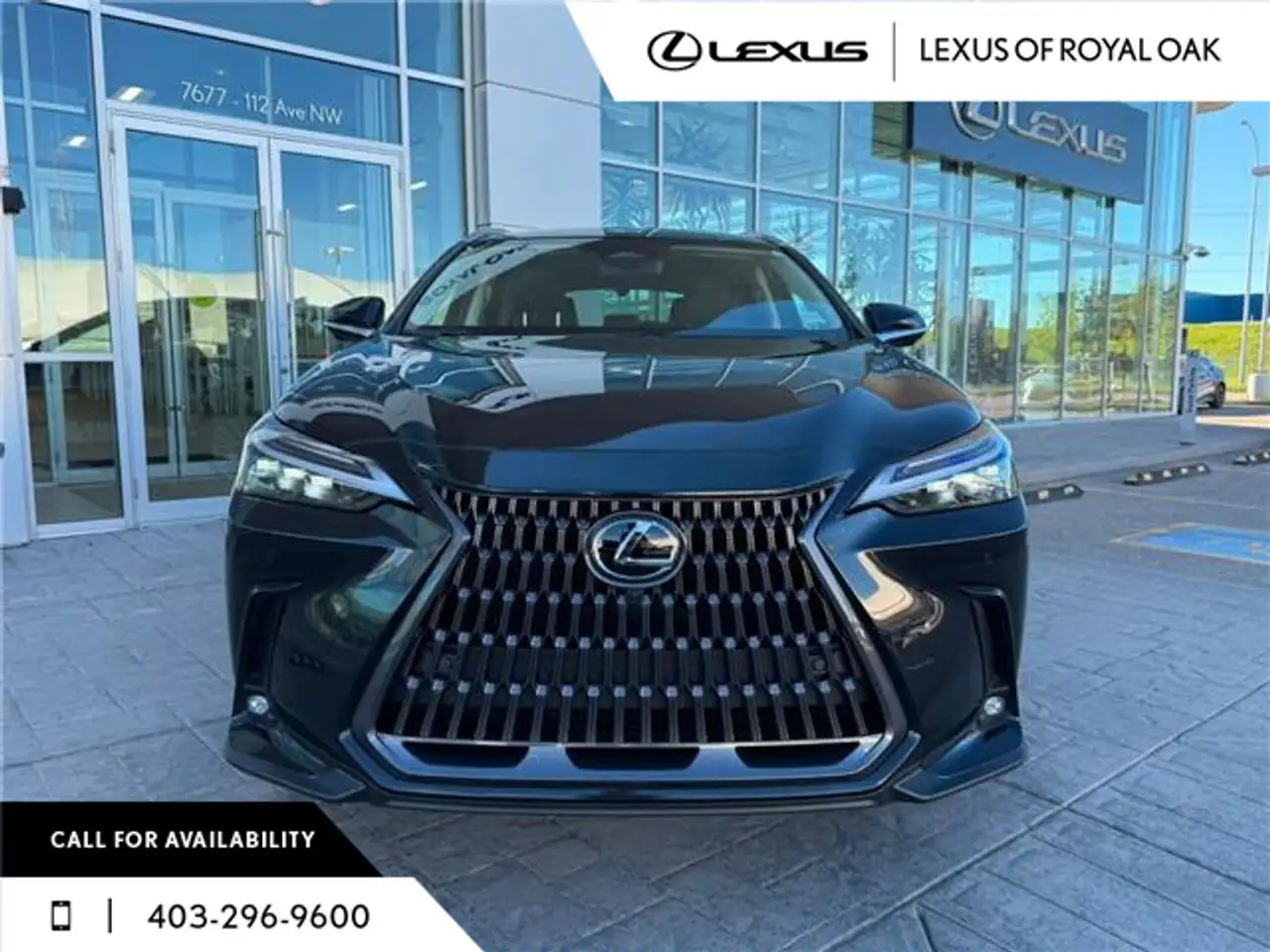 Lexus NX fotografie Lexus NX