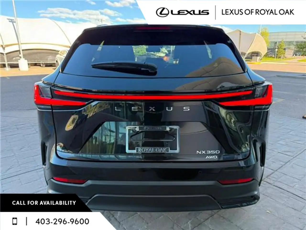 Lexus NX fotografie Lexus NX