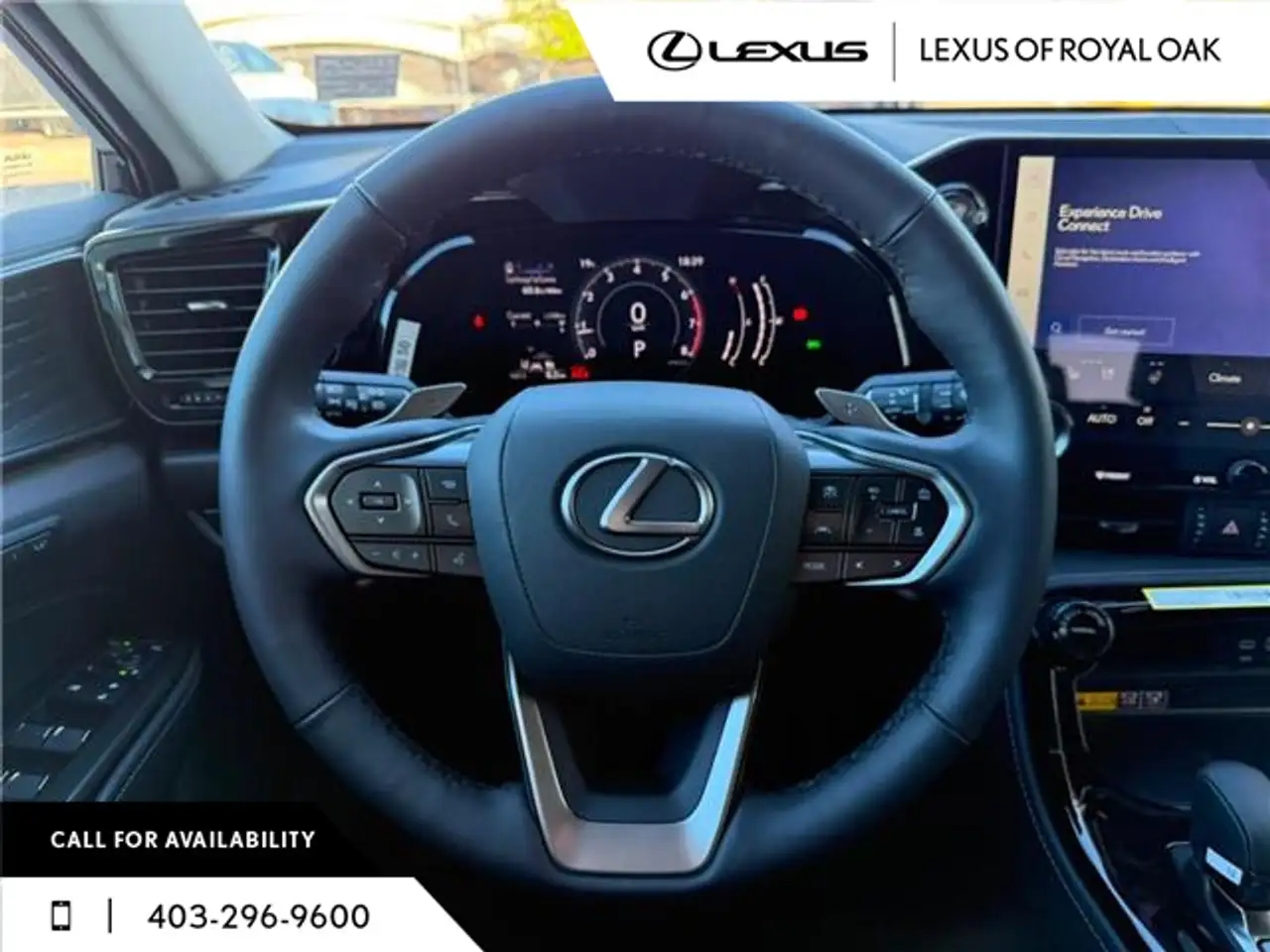Lexus NX fotografie Lexus NX