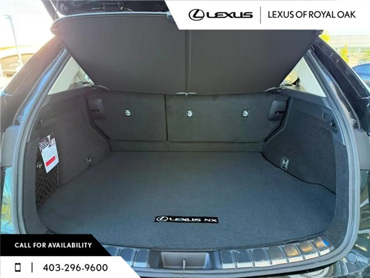 Lexus NX fotografie Lexus NX