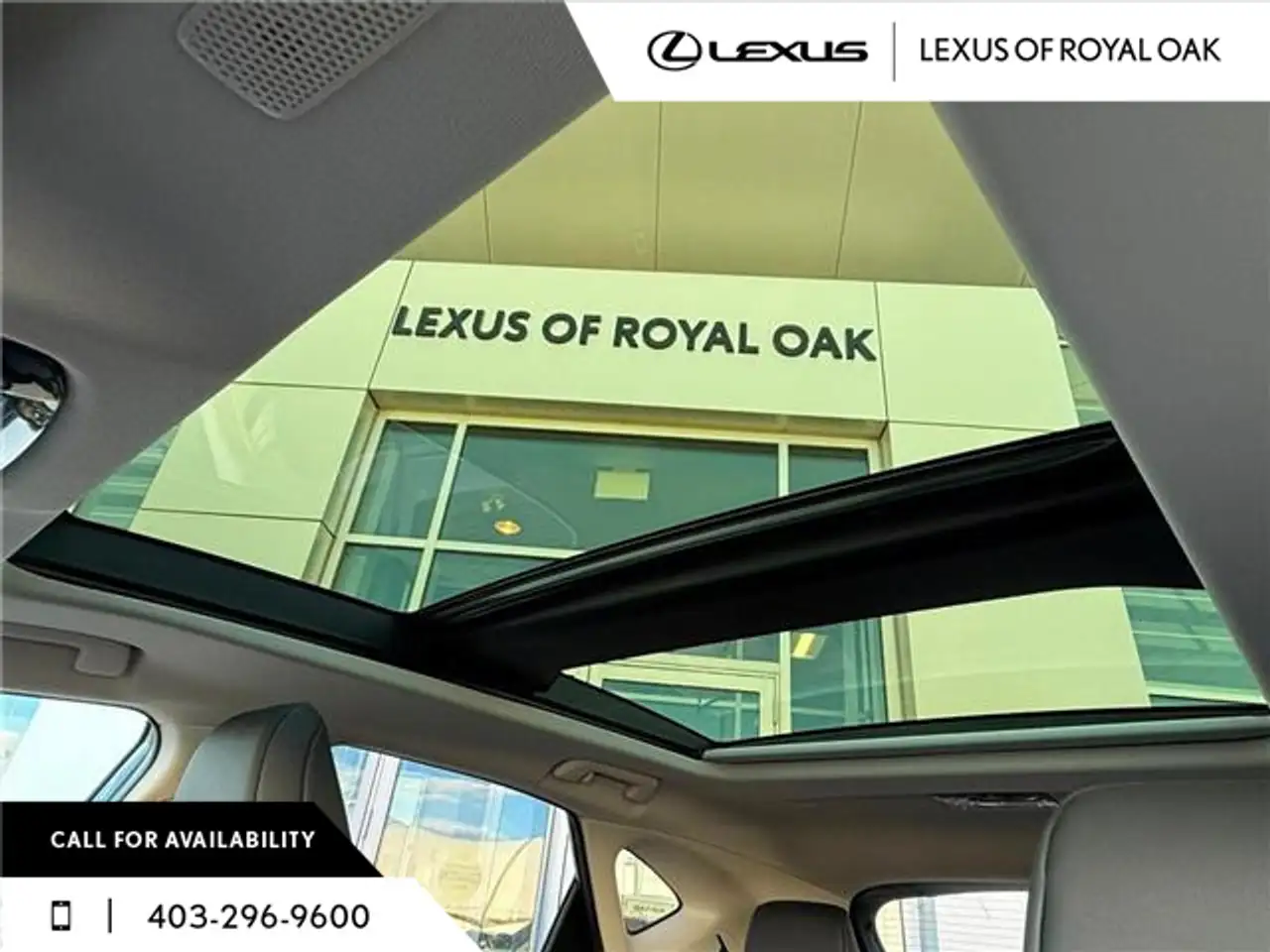 Lexus NX fotografie Lexus NX