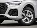 Audi Q5 50 TDI quattro S-Line Pano Matrix-LED Weiß - thumbnail 5