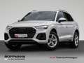 Audi Q5 50 TDI quattro S-Line Pano Matrix-LED Weiß - thumbnail 1