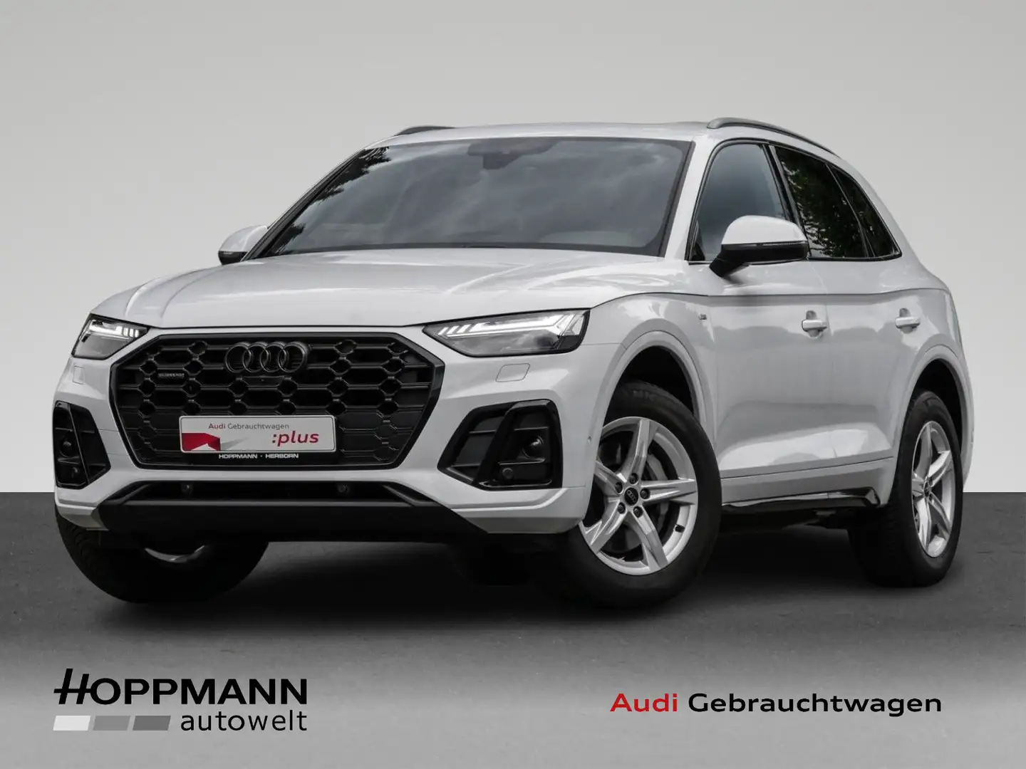 Audi Q5 50 TDI quattro S-Line Pano Matrix-LED Weiß - 1
