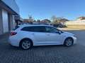 Suzuki Swace Swace  1.8h Cool e-cvt Blanc - thumbnail 9