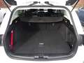 Ford Focus 1.5TDCi Cool & Connect *Winter-Paket*NAVI* Weiß - thumbnail 6
