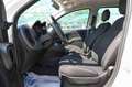 Fiat Panda 1.0 FireFly S&S Hybrid Bianco - thumbnail 9