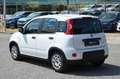 Fiat Panda 1.0 FireFly S&S Hybrid Bianco - thumbnail 4