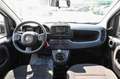 Fiat Panda 1.0 FireFly S&S Hybrid Bianco - thumbnail 7