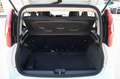 Fiat Panda 1.0 FireFly S&S Hybrid Bianco - thumbnail 5