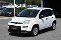 Fiat Panda 1.0 FireFly S&S Hybrid Bianco - thumbnail 1