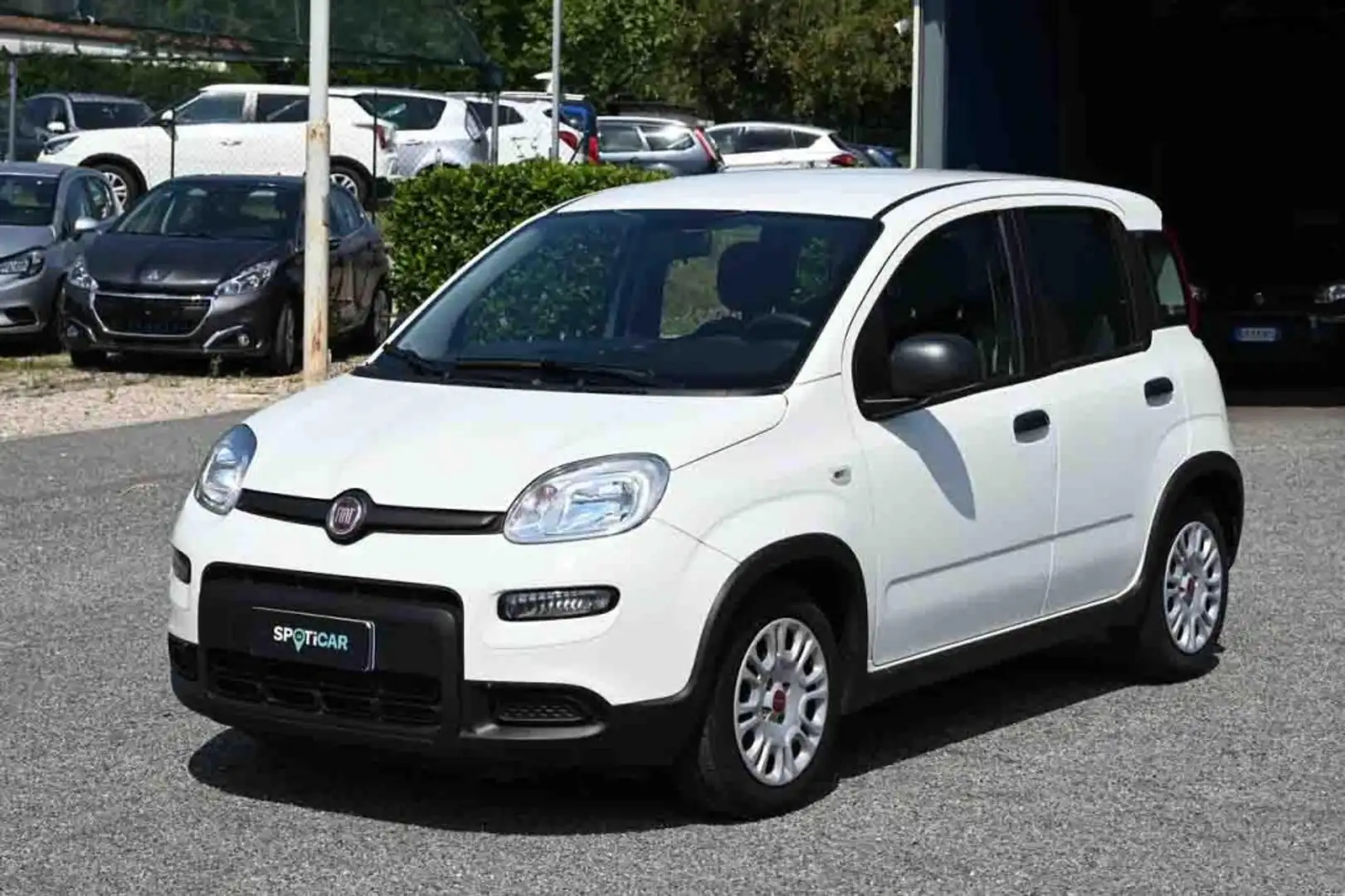 Fiat Panda 1.0 FireFly S&S Hybrid Bianco - 1