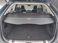 Ford Edge TDCI Titanium 4x4 LED AHK Navi RFK GRA SH Verde - thumbnail 14