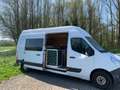 Renault Master Master undefined Wit - thumbnail 12