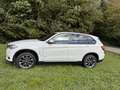 BMW X5 xDrive30d - thumbnail 3