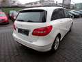 Mercedes-Benz B 180 CDI BlueEFFICIENCY, AUTOMATIK Blanco - thumbnail 5