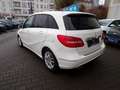 Mercedes-Benz B 180 CDI BlueEFFICIENCY, AUTOMATIK Blanco - thumbnail 6