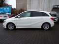 Mercedes-Benz B 180 CDI BlueEFFICIENCY, AUTOMATIK Blanco - thumbnail 7