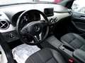 Mercedes-Benz B 180 CDI BlueEFFICIENCY, AUTOMATIK Blanco - thumbnail 10