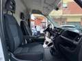 Fiat Ducato 35 2.3 MJT 130CV PLM-SL-TA Furgone Maxi Bianco - thumbnail 8