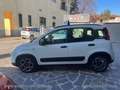 Fiat Panda 1.0 FireFly S&S Hybrid City Life PREZZO REALE-WWW. Bianco - thumbnail 2