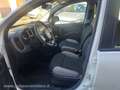 Fiat Panda 1.0 FireFly S&S Hybrid City Life PREZZO REALE-WWW. Bianco - thumbnail 8