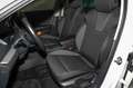 Skoda Octavia Combi 1.4 TSI iV DSG AHK Carplay Kamera Weiß - thumbnail 17