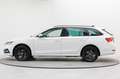 Skoda Octavia Combi 1.4 TSI iV DSG AHK Carplay Kamera Weiß - thumbnail 13