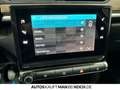 Citroen C35 C3 PureTech 83 MAX Feel Edition NAVI LED PDC Klima Grijs - thumbnail 21