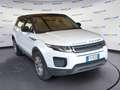 Land Rover Range Rover Evoque Range Rover Evoque I 2016 Range Rover Evoque 5p 2 Blanc - thumbnail 5