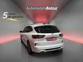 Ford Kuga 1.5 EcoBoost Titanium FWD 150 Blanco - thumbnail 4