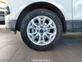 Ford EcoSport 1.5 TDCi 95 CV Titanium Navi Cruise Neopatentati Wit - thumbnail 36