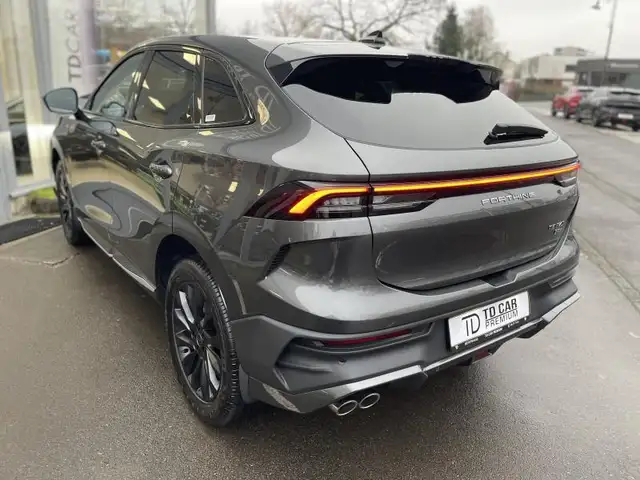 Forthing T5 Evo view 14