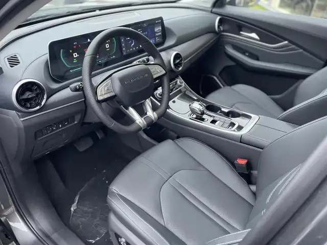 Forthing T5 Evo view 6