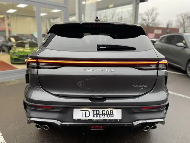 Forthing T5 Evo view 15