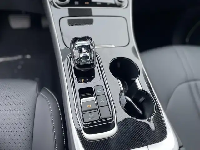 Forthing T5 Evo view 11