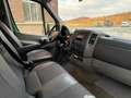 Mercedes-Benz Sprinter CHASSIS CAB 516 CDI 43 4x2 avec 40000km! EURO 6! - thumbnail 12