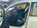 Fiat Panda 1.2 Lounge easypower Gpl 69cv Bianco - thumbnail 6