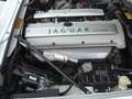 Jaguar XJS 4.0 Celebration Edition Unfallfrei guter Zustand Bílá - thumbnail 15
