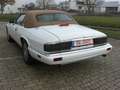 Jaguar XJS 4.0 Celebration Edition Unfallfrei guter Zustand Fehér - thumbnail 3