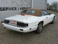 Jaguar XJS 4.0 Celebration Edition Unfallfrei guter Zustand White - thumbnail 4