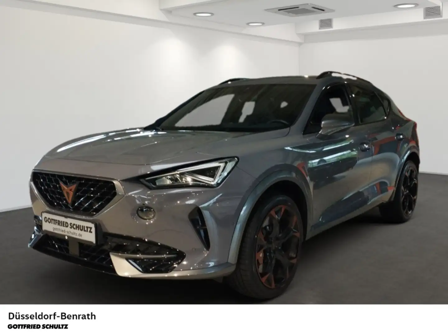 CUPRA Formentor VZ 4Drive 2.0 TSI DSG Voll-LED Leder Navi Einparkh Gris - 1