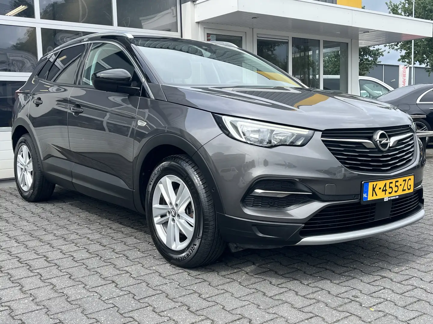 Opel Grandland X 1.2 Turbo Business Executive Cruise control Trekha Grijs - 1