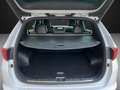 Kia Sportage 1.6 T-GDi GT Line DCT 4x4 177 Blanco - thumbnail 18