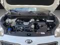 Kia Sportage 1.6 T-GDi GT Line DCT 4x4 177 Blanco - thumbnail 19