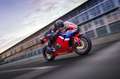 Honda CBR 600 Verfügbar! Rood - thumbnail 7