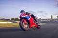 Honda CBR 600 Verfügbar! Rood - thumbnail 3