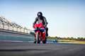 Honda CBR 600 Verfügbar! Rood - thumbnail 9