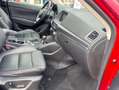 Mazda CX-5 Sports-Line AWD Rot - thumbnail 11