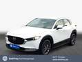 Mazda CX-30 e-SKYACTIV-G 2.0 M HYBRID SELECTION Weiß - thumbnail 1